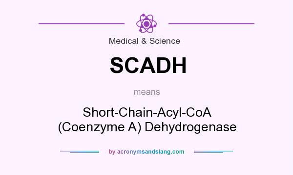 What does SCADH mean? It stands for Short-Chain-Acyl-CoA (Coenzyme A) Dehydrogenase