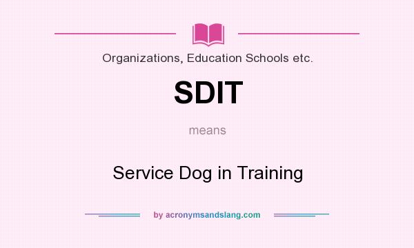 What does SDIT mean? It stands for Service Dog in Training