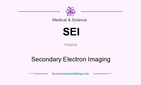 What does SEI mean? It stands for Secondary Electron Imaging