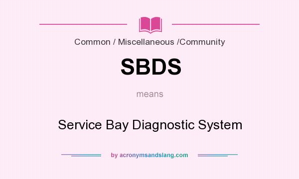 What does SBDS mean? It stands for Service Bay Diagnostic System