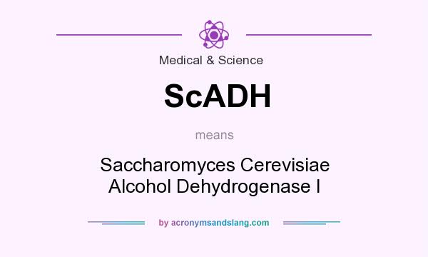 What does ScADH mean? It stands for Saccharomyces Cerevisiae Alcohol Dehydrogenase I