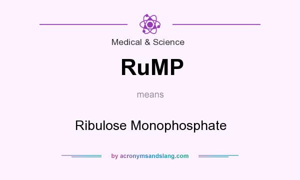 What does RuMP mean? It stands for Ribulose Monophosphate