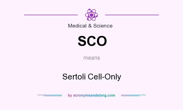 What does SCO mean? It stands for Sertoli Cell-Only