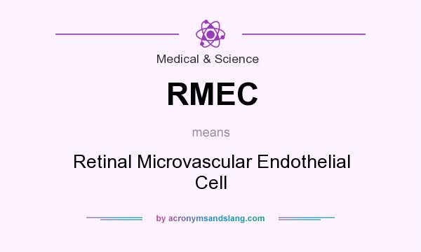 What does RMEC mean? It stands for Retinal Microvascular Endothelial Cell