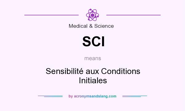 What does SCI mean? It stands for Sensibilité aux Conditions Initiales