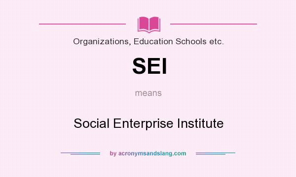 What does SEI mean? It stands for Social Enterprise Institute