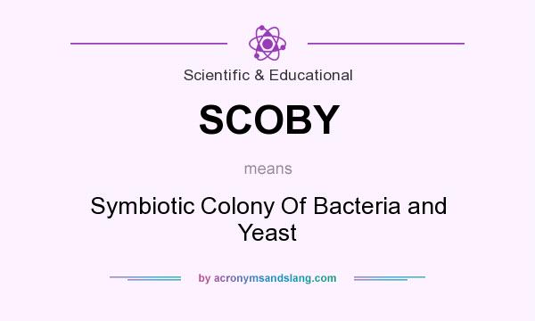 What does SCOBY mean? It stands for Symbiotic Colony Of Bacteria and Yeast