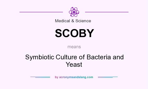 What does SCOBY mean? It stands for Symbiotic Culture of Bacteria and Yeast