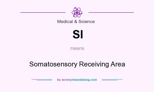 What does SI mean? It stands for Somatosensory Receiving Area