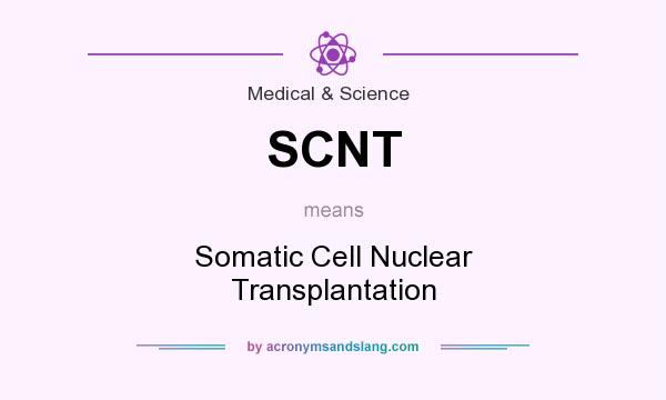 What does SCNT mean? It stands for Somatic Cell Nuclear Transplantation