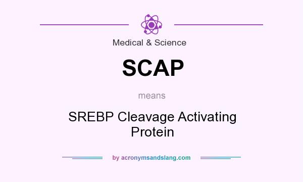 What does SCAP mean? It stands for SREBP Cleavage Activating Protein