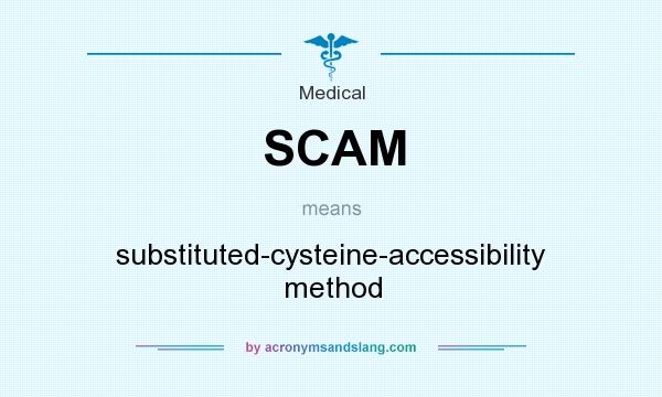 What does SCAM mean? It stands for substituted-cysteine-accessibility method