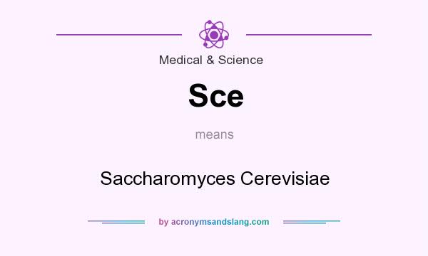 What does Sce mean? It stands for Saccharomyces Cerevisiae