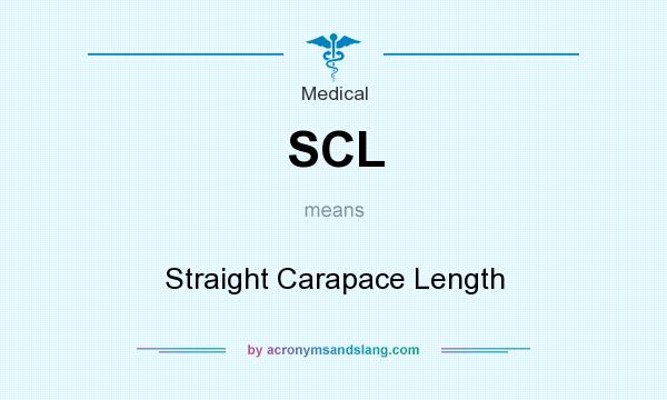 What does SCL mean? It stands for Straight Carapace Length