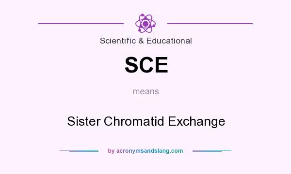 What does SCE mean? It stands for Sister Chromatid Exchange