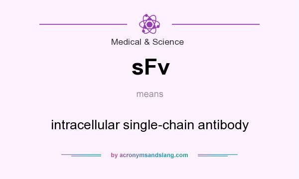 What does sFv mean? It stands for intracellular single-chain antibody