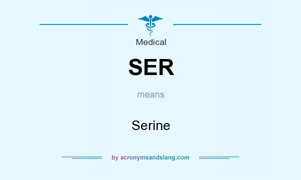 What does SER mean? It stands for Serine