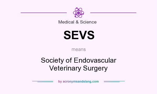 What does SEVS mean? It stands for Society of Endovascular Veterinary Surgery