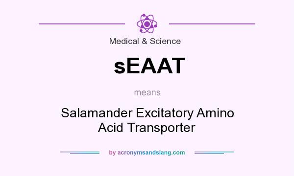 What does sEAAT mean? It stands for Salamander Excitatory Amino Acid Transporter