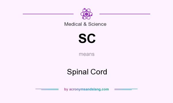 What does SC mean? It stands for Spinal Cord