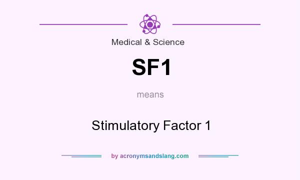 What does SF1 mean? It stands for Stimulatory Factor 1