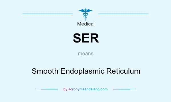 What does SER mean? It stands for Smooth Endoplasmic Reticulum