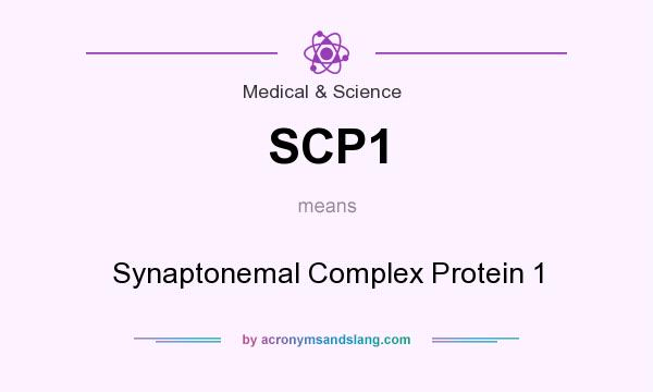 What does SCP1 mean? It stands for Synaptonemal Complex Protein 1