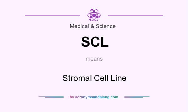 What does SCL mean? It stands for Stromal Cell Line