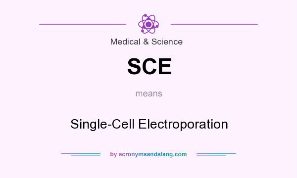 What does SCE mean? It stands for Single-Cell Electroporation