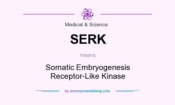 What does SERK mean? It stands for Somatic Embryogenesis Receptor-Like Kinase