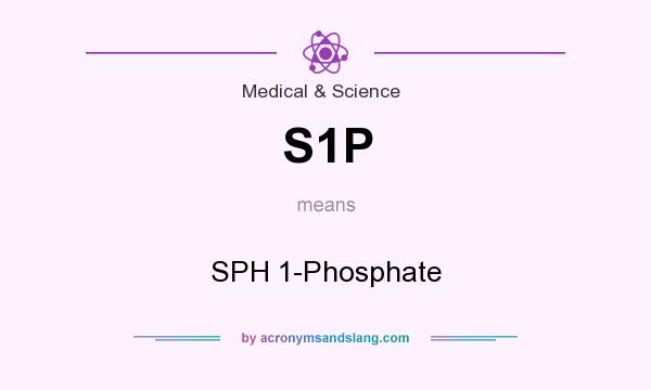 What does S1P mean? It stands for SPH 1-Phosphate