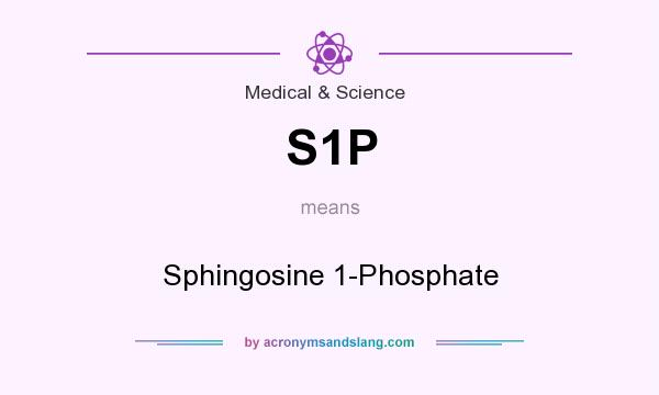 What does S1P mean? It stands for Sphingosine 1-Phosphate