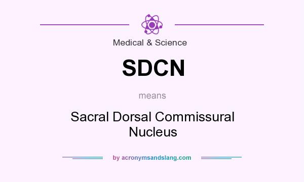 What does SDCN mean? It stands for Sacral Dorsal Commissural Nucleus