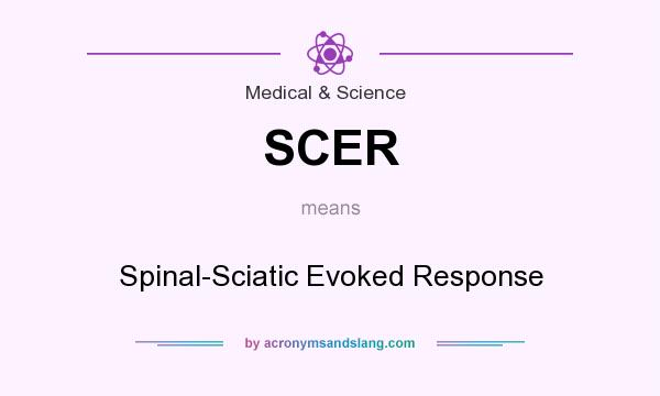 What does SCER mean? It stands for Spinal-Sciatic Evoked Response
