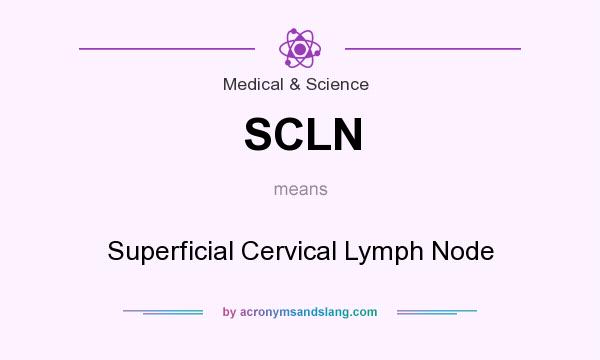 What does SCLN mean? It stands for Superficial Cervical Lymph Node