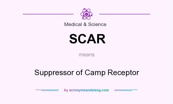 What does SCAR mean? It stands for Suppressor of Camp Receptor