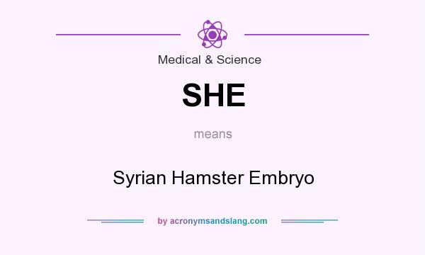 What does SHE mean? It stands for Syrian Hamster Embryo