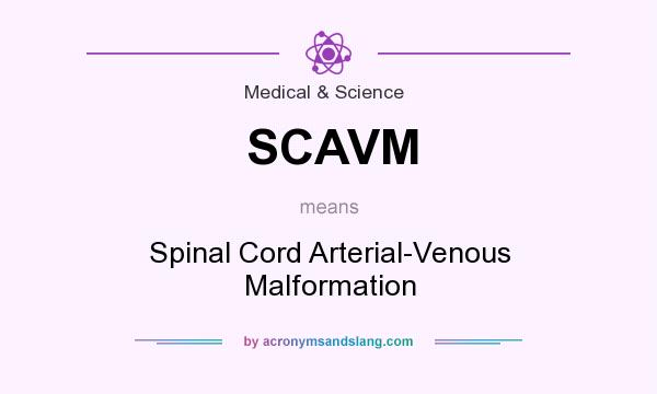 What does SCAVM mean? It stands for Spinal Cord Arterial-Venous Malformation