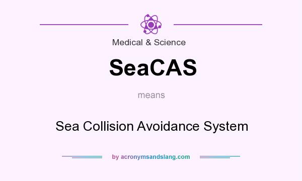 What does SeaCAS mean? It stands for Sea Collision Avoidance System