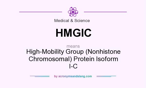 What does HMGIC mean? It stands for High-Mobility Group (Nonhistone Chromosomal) Protein Isoform I-C