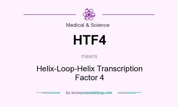 What does HTF4 mean? It stands for Helix-Loop-Helix Transcription Factor 4