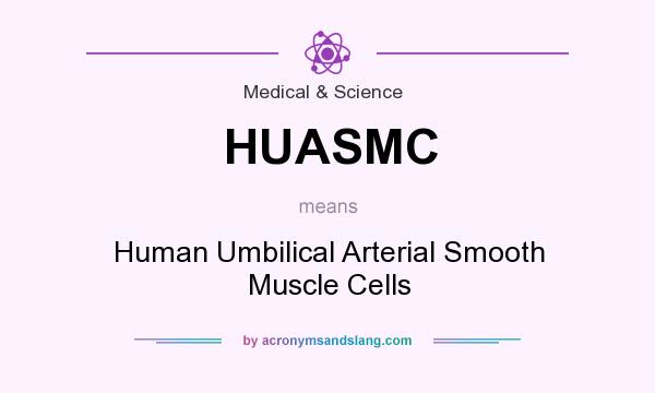 What does HUASMC mean? It stands for Human Umbilical Arterial Smooth Muscle Cells