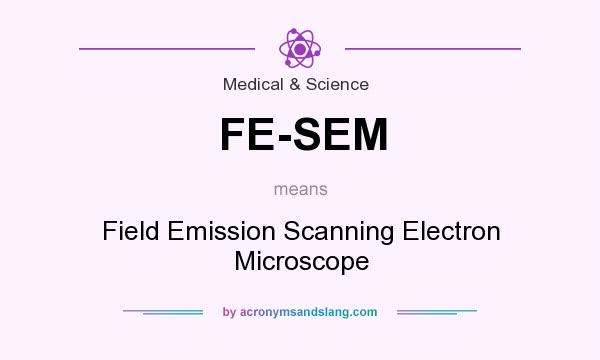 What does FE-SEM mean? It stands for Field Emission Scanning Electron Microscope