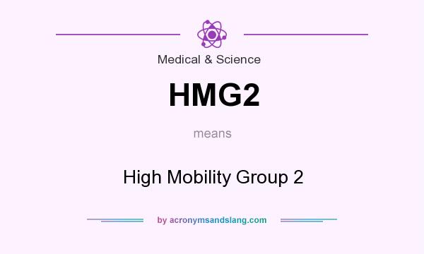 What does HMG2 mean? It stands for High Mobility Group 2