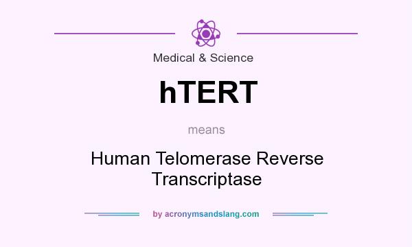 What does hTERT mean? It stands for Human Telomerase Reverse Transcriptase