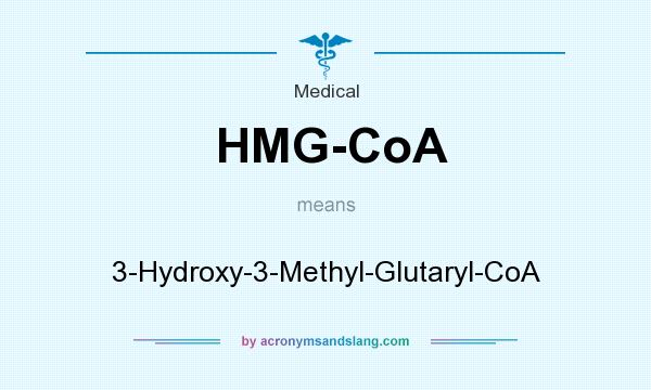 What does HMG-CoA mean? It stands for 3-Hydroxy-3-Methyl-Glutaryl-CoA