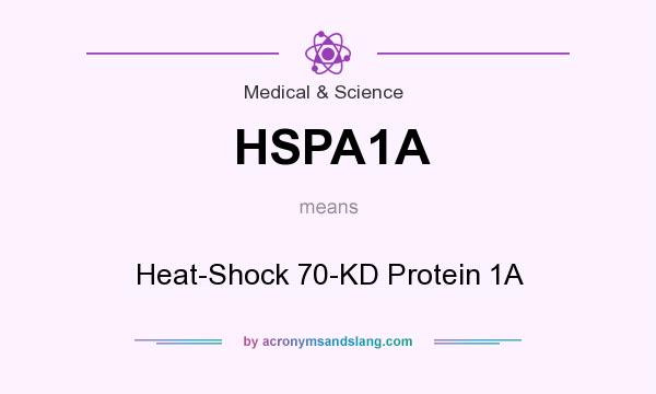 What does HSPA1A mean? It stands for Heat-Shock 70-KD Protein 1A