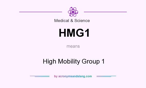 What does HMG1 mean? It stands for High Mobility Group 1