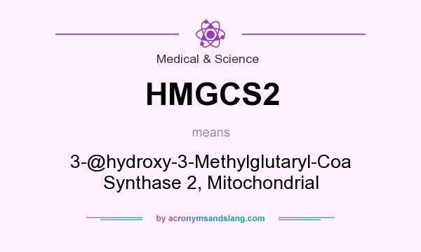 What does HMGCS2 mean? It stands for 3-@hydroxy-3-Methylglutaryl-Coa Synthase 2, Mitochondrial