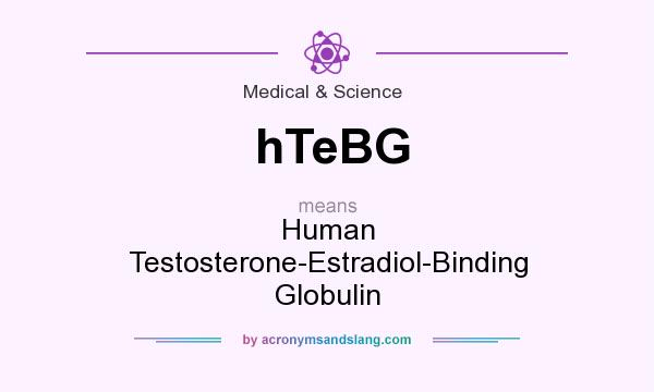 What does hTeBG mean? It stands for Human Testosterone-Estradiol-Binding Globulin